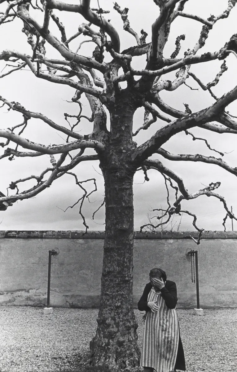 Photographie en noir et blanc d'une femme sous un arbre dénudé. La femme cache son visage avec sa main, qui n'est donc pas reconnaissable. L'image dégage un sentiment de solitude et de désespoir. Elle a été prise en 1971 à la clinique psychiatrique universitaire de Münsingen.