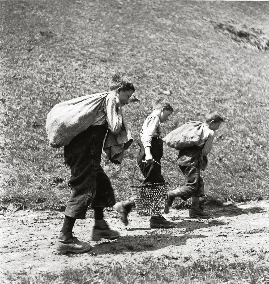 Photographie en noir et blanc de trois garçons. Deux d'entre eux portent des sacs de pommes de terre, le troisième porte un panier métallique vide. Ils marchent sur un chemin de campagne. Photo prise en 1941 à Entlebuch, Romoos.